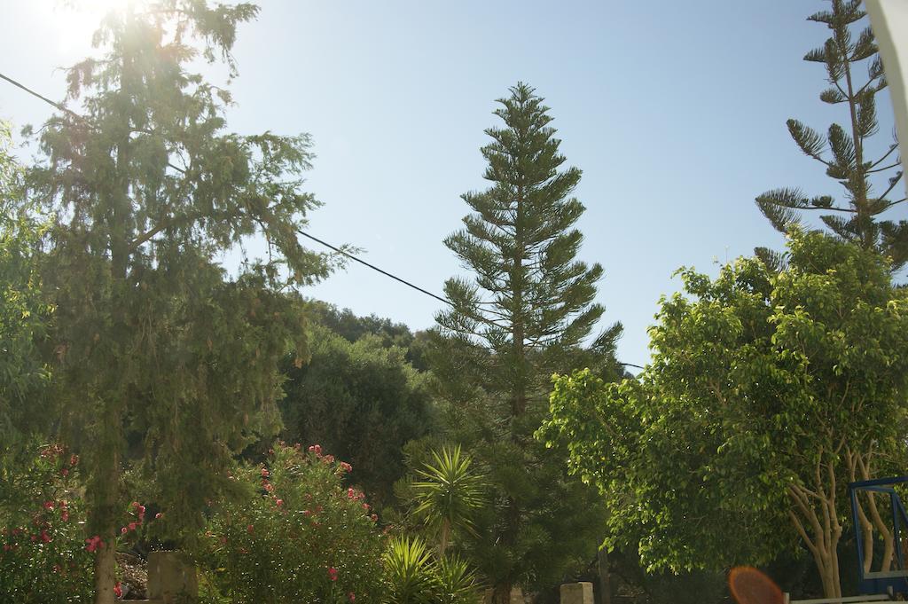 Lofos Hotel Plakias Exterior photo